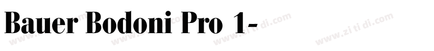 Bauer Bodoni Pro 1字体转换